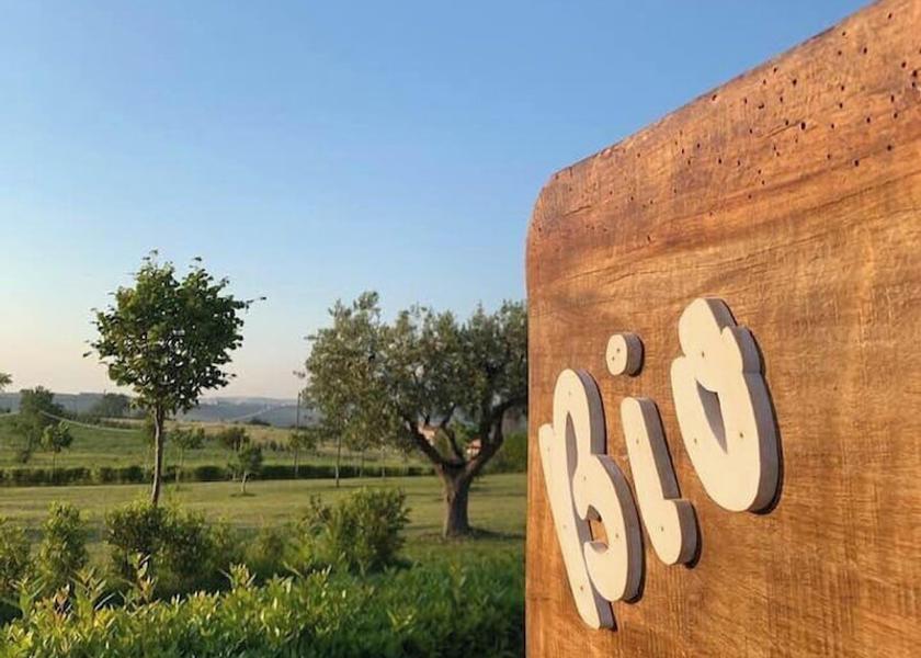 Marche Cingoli Exterior Detail