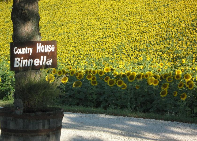 Marche Cingoli Property Grounds