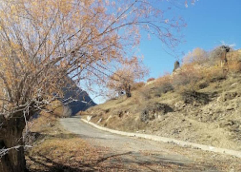 Himachal Pradesh Keylong View from Property