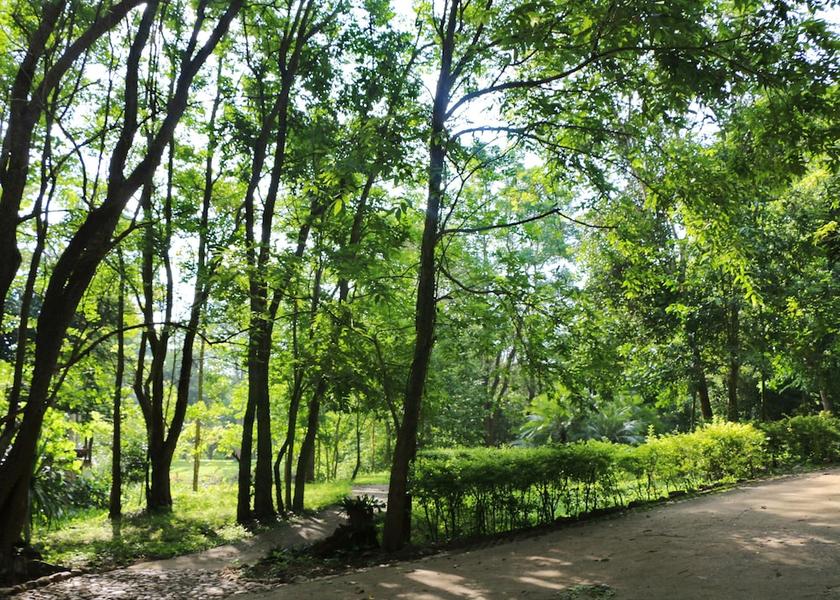 Phetchaburi Kaeng Krachan Garden