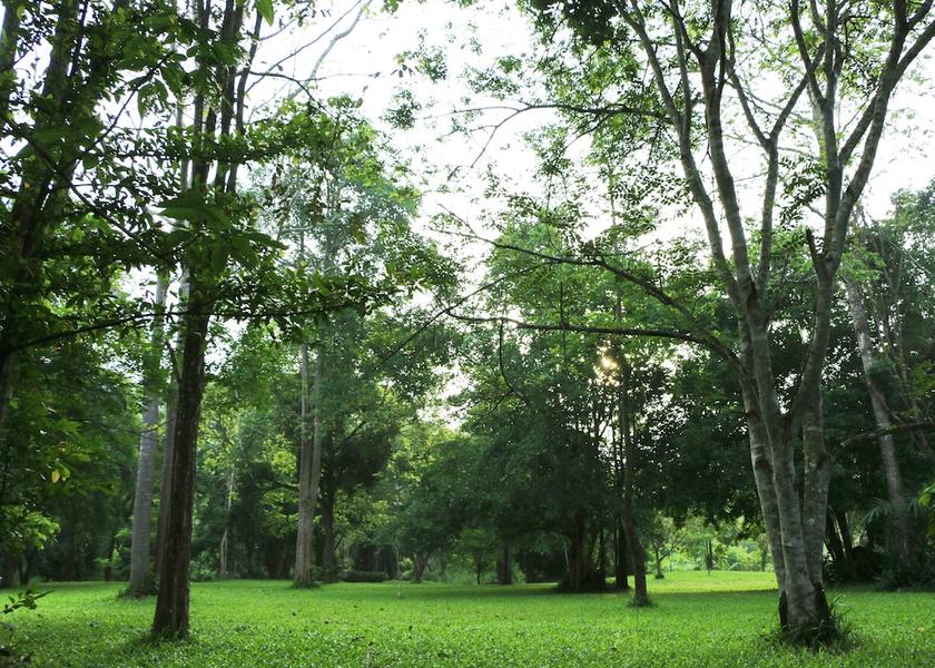 Phetchaburi Kaeng Krachan Garden