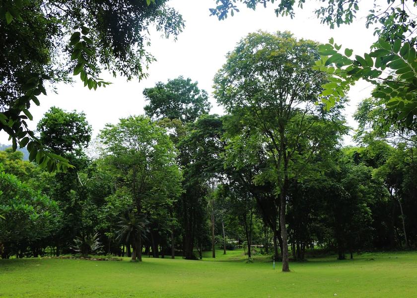 Phetchaburi Kaeng Krachan Garden