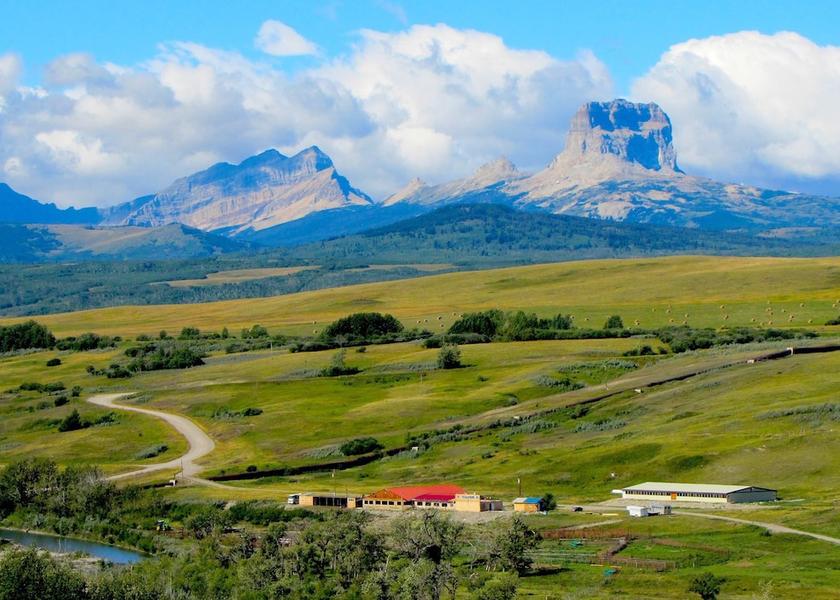 Montana Babb Primary image