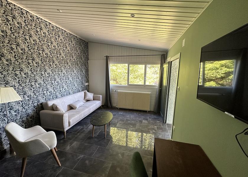 Grand Est Albe Living Area
