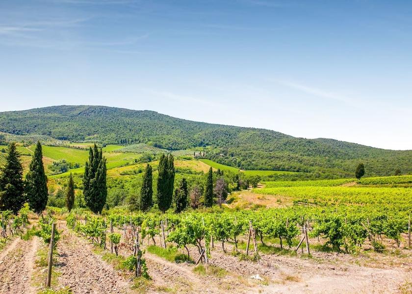 Tuscany Lajatico View from Property