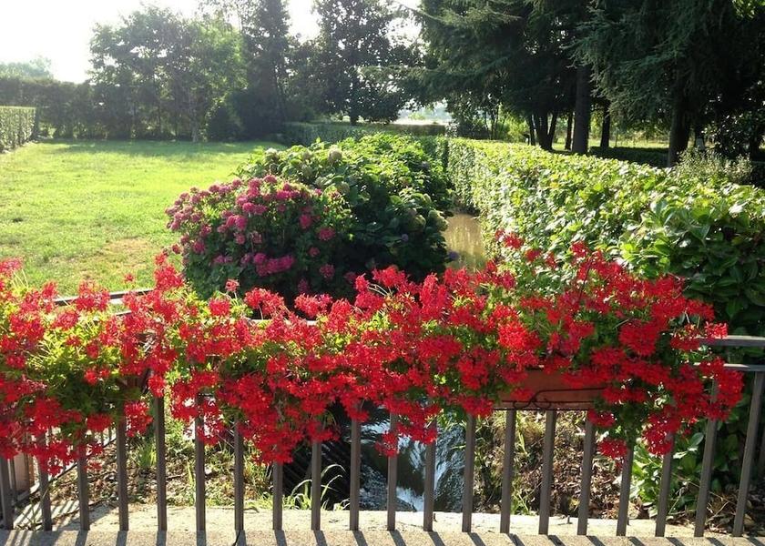 Lombardy Melzo Garden