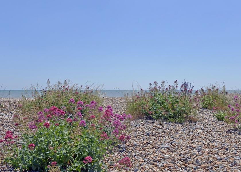 England Pevensey View from Property