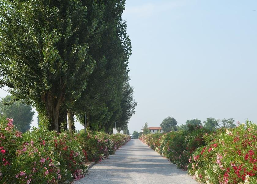 Emilia-Romagna Codigoro View from Property