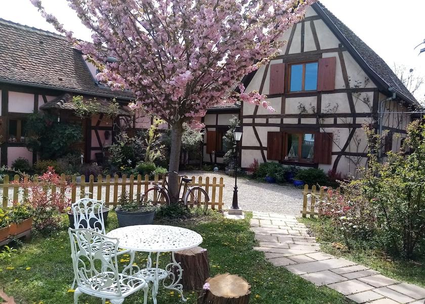 Grand Est Hilsenheim Primary image