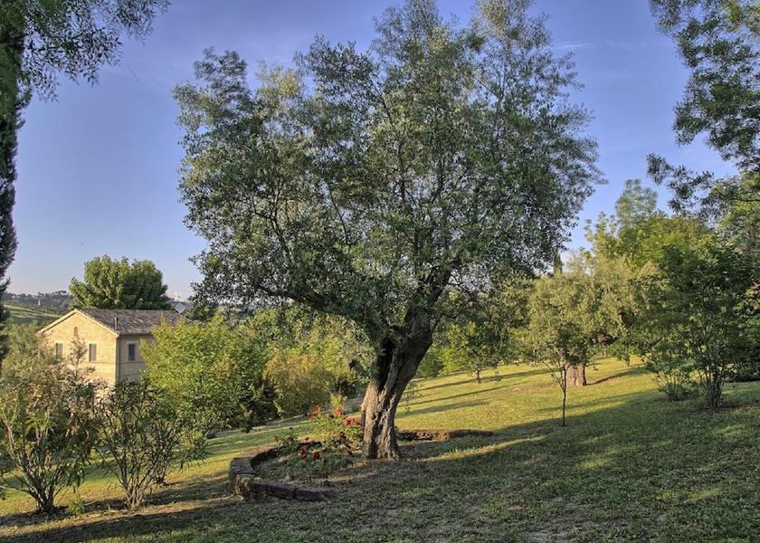 Marche Ostra Exterior Detail