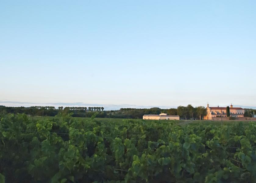 Occitanie Caux Exterior Detail