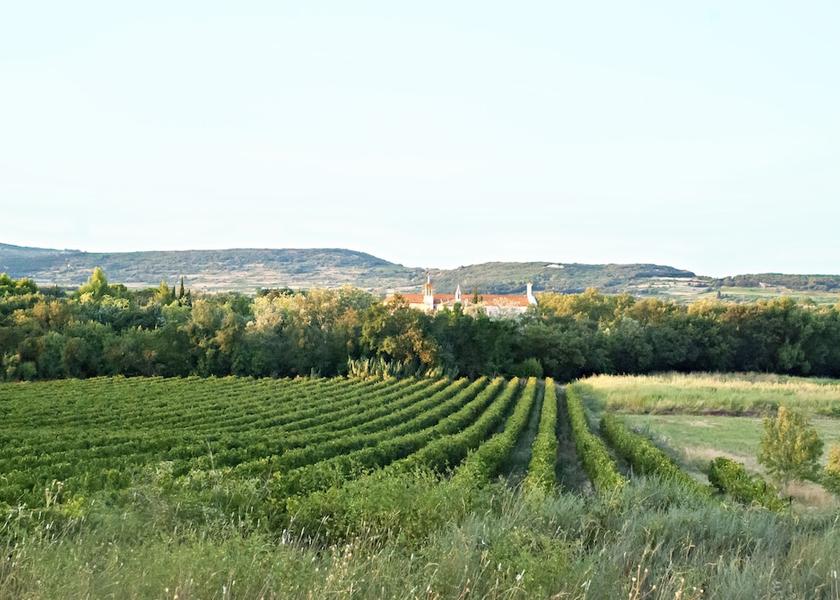 Occitanie Caux Exterior Detail
