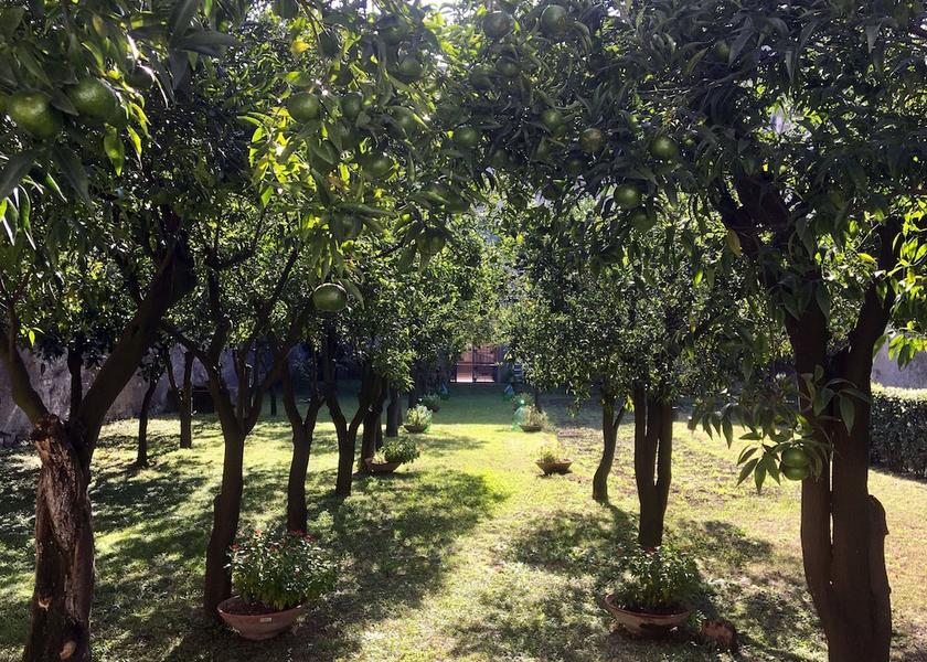 Campania Santa Maria Capua Vetere Property Grounds
