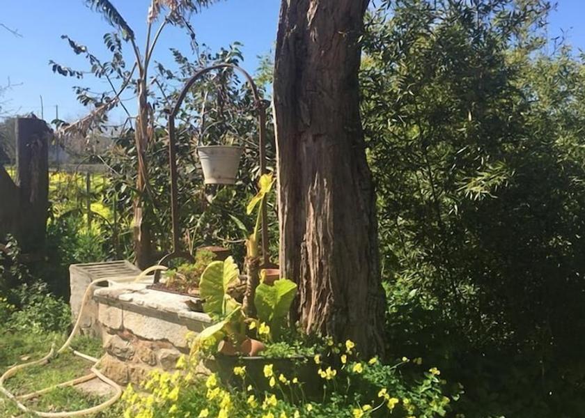 Sicily San Fratello Garden