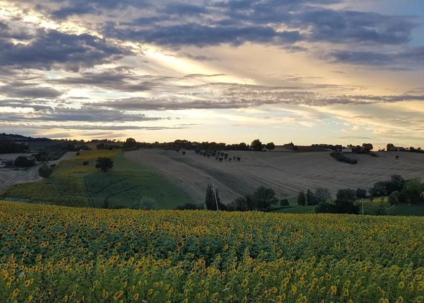 Land View from Property