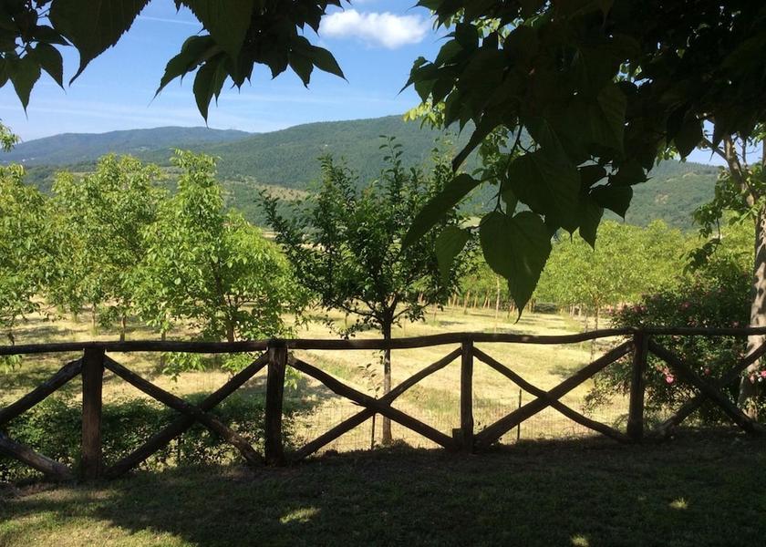 Tuscany Monterchi Exterior Detail