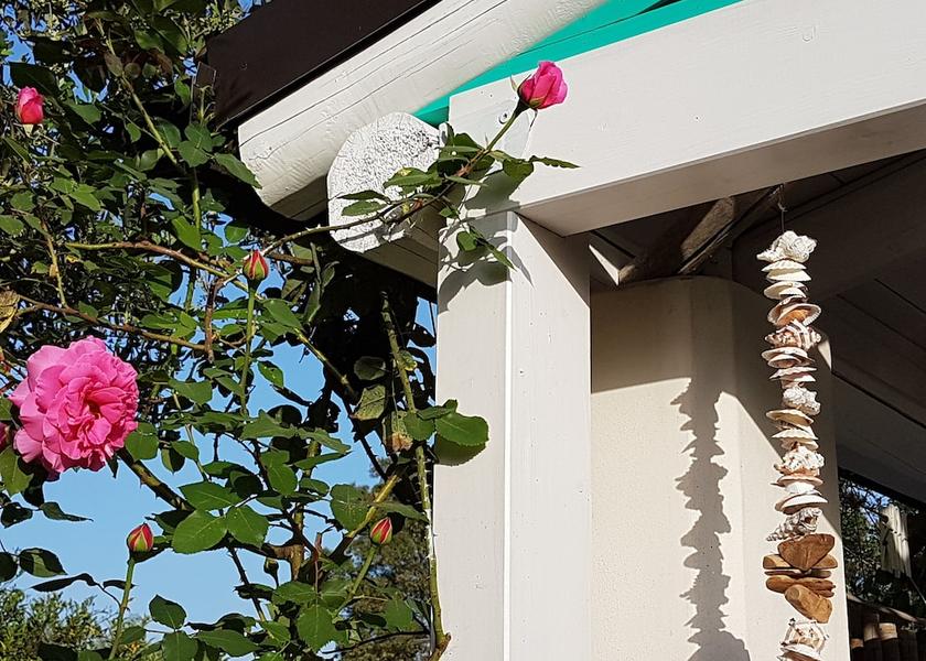 Puglia Copertino Exterior Detail