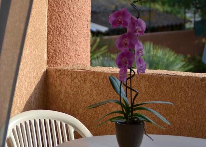 Corsica Vico Terrace
