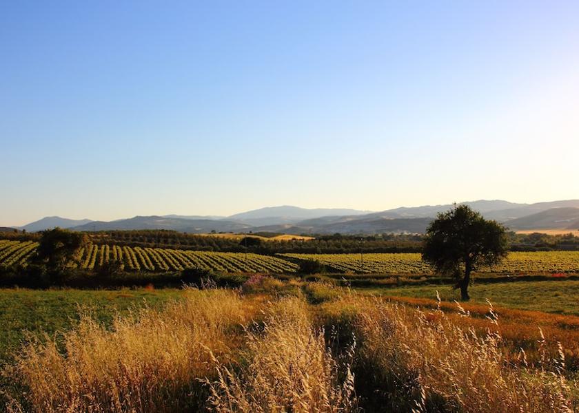 Molise Larino Hiking