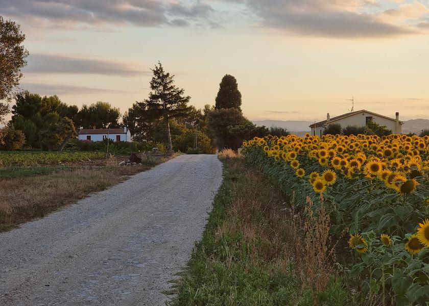 Molise Larino View from property