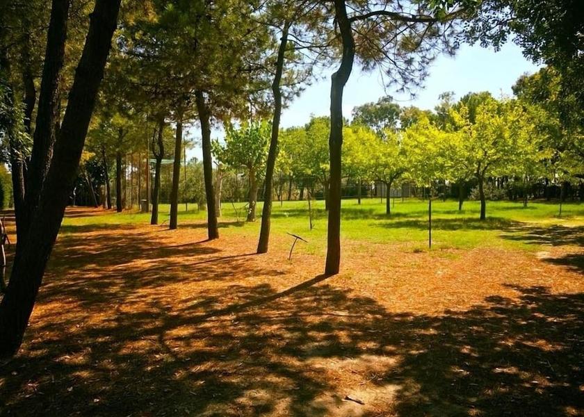 Calabria Caulonia Garden