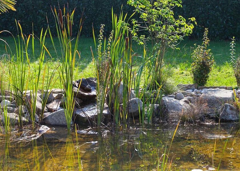 Piedmont Cossano Belbo Garden