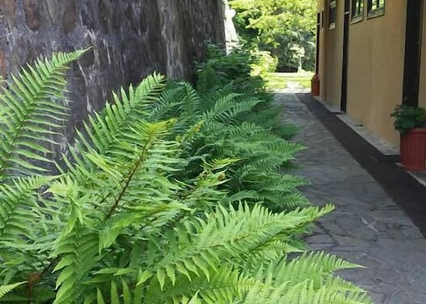 Piedmont Miasino Exterior Detail