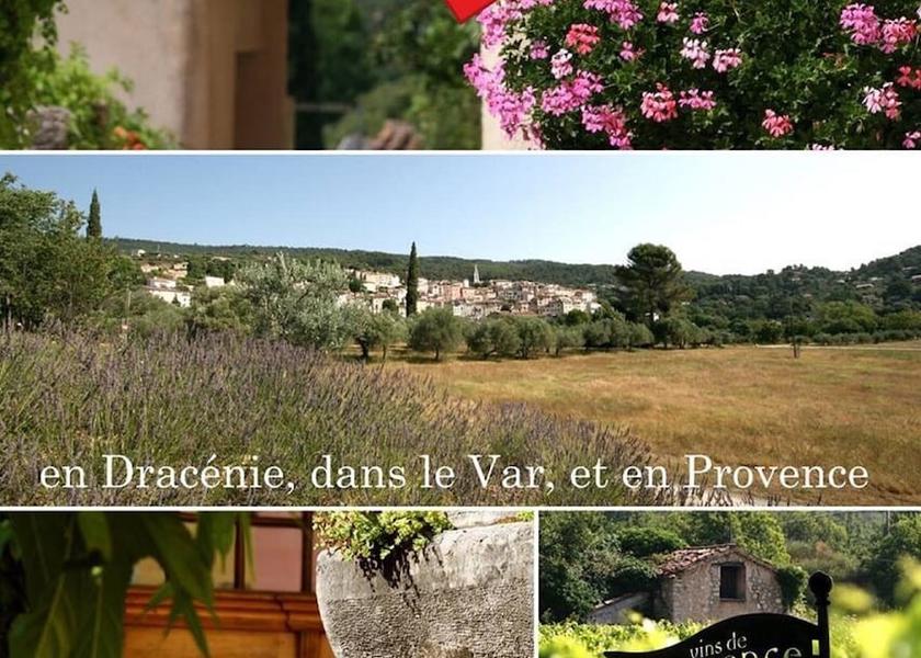 Provence-Alpes-Côte d'Azur Callas Restaurant