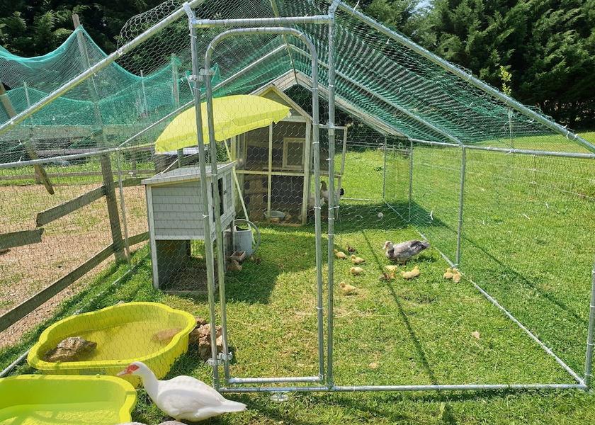 Nouvelle-Aquitaine Anlhiac Property Grounds