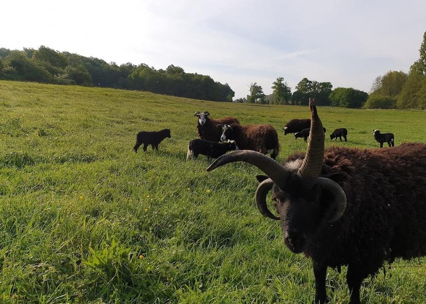 Nouvelle-Aquitaine Anlhiac Property Grounds