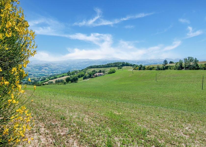 Marche Tavoleto View from Property