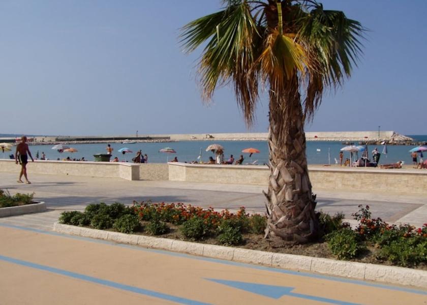 Molise Montenero Di Bisaccia Beach