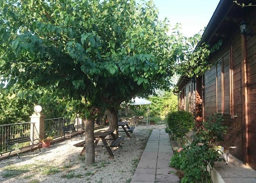 Molise Montenero Di Bisaccia Courtyard