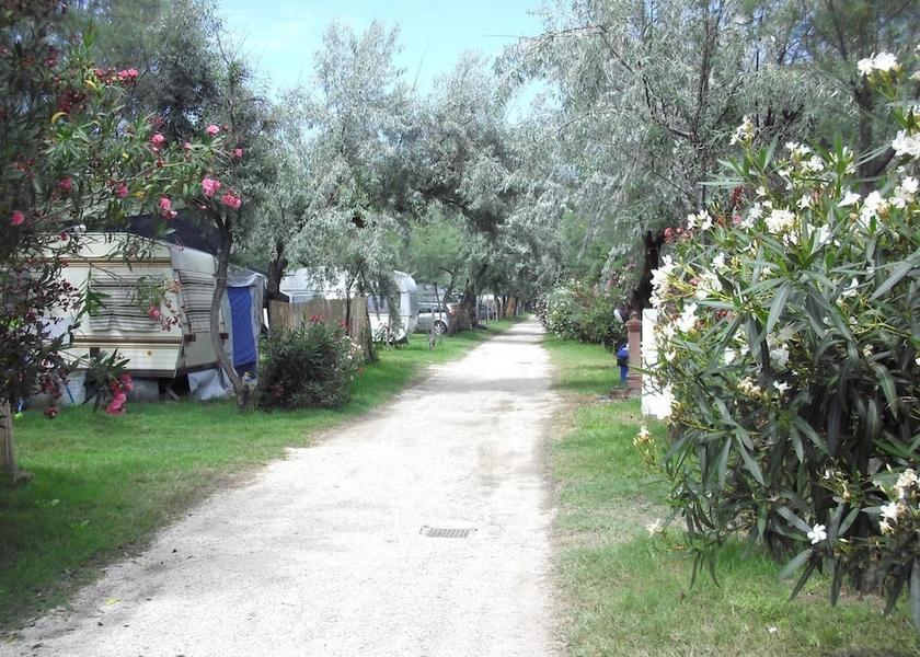 Molise Montenero Di Bisaccia Property Grounds