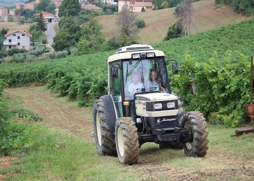 Marche Montalto Delle Marche Property Grounds