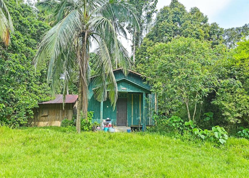 Pahang pekan Exterior Detail
