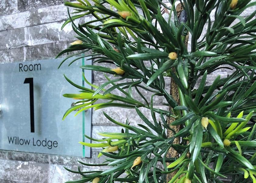 England Poulton-le-Fylde Primary image