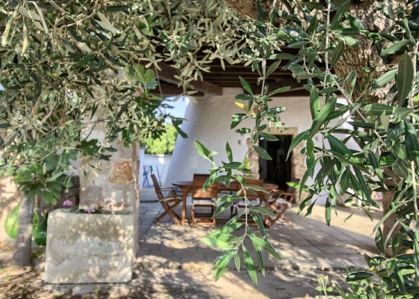 Puglia Salve Property Grounds
