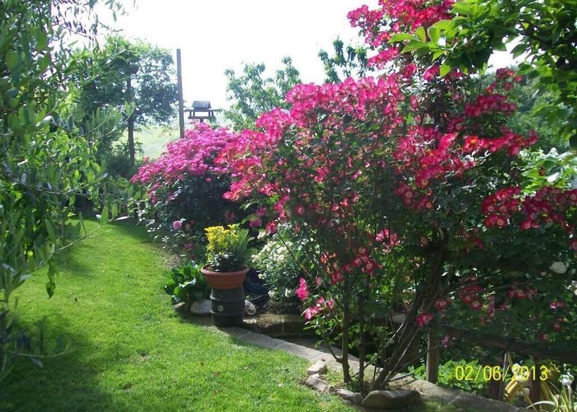 Piedmont Castellinaldo Property Grounds