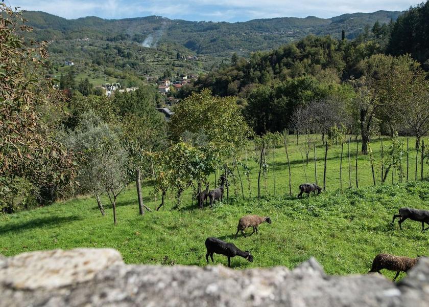 Tuscany Casola in Lunigiana Exterior Detail