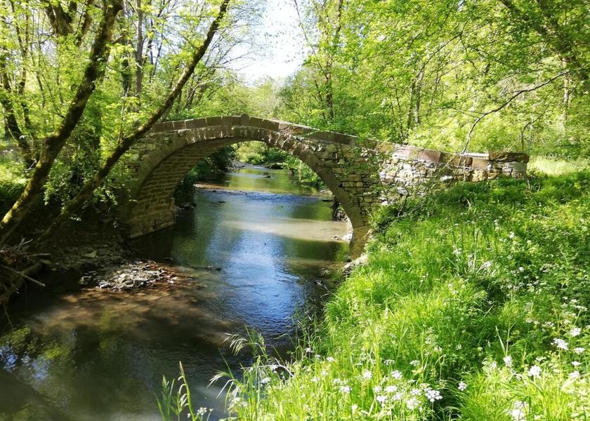 Nouvelle-Aquitaine Osses Property Grounds