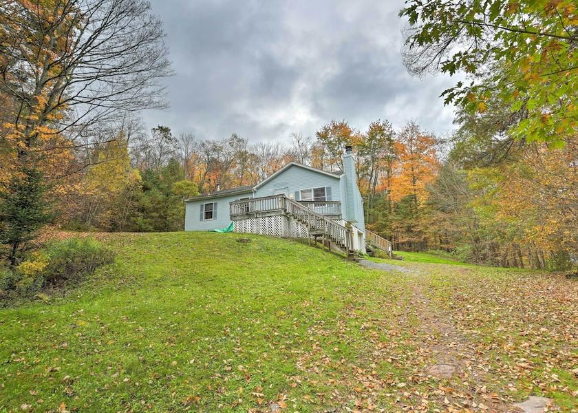 New York hunter Primary image