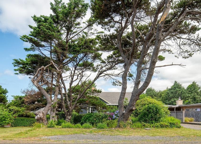 Oregon arch cape Property Grounds