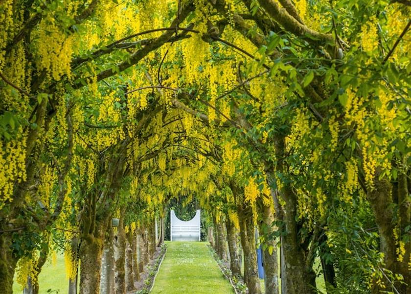 Scotland maybole Garden