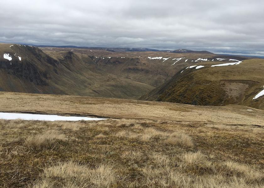 Scotland kirriemuir Property Grounds