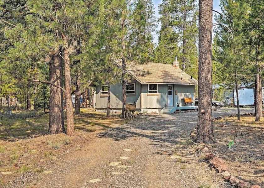 Oregon la pine Primary image