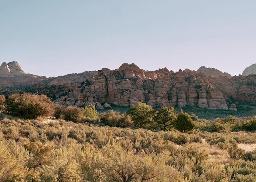 Ropes Course (Team Building)