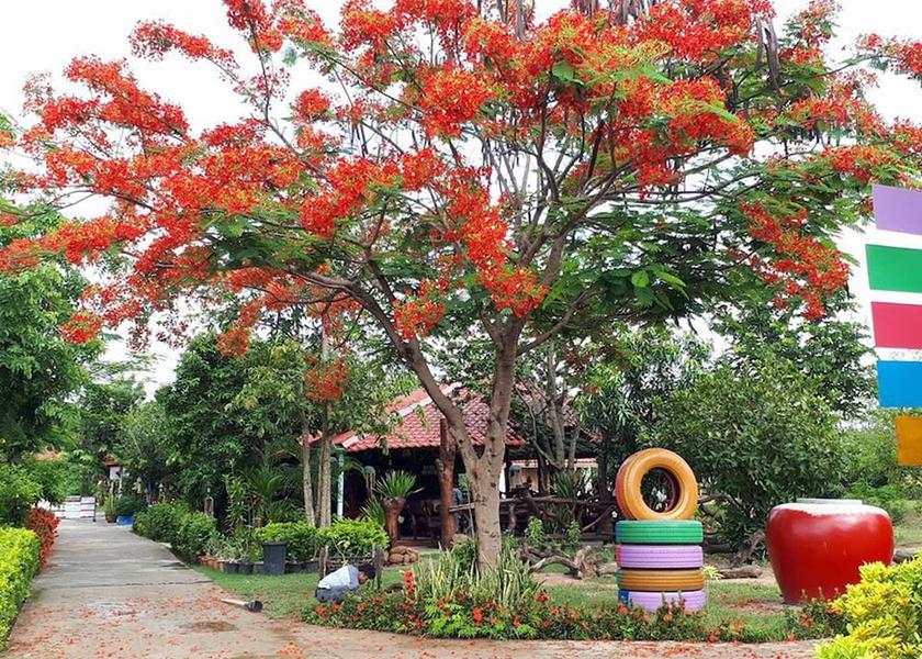 Nongbua Lamphu Nongbua Lamphu Property Grounds