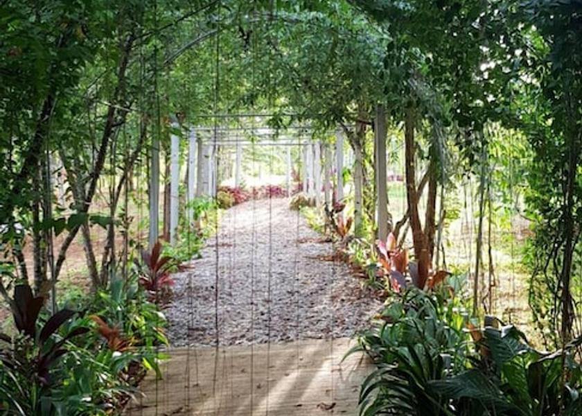 Loei Phu Ruea Garden