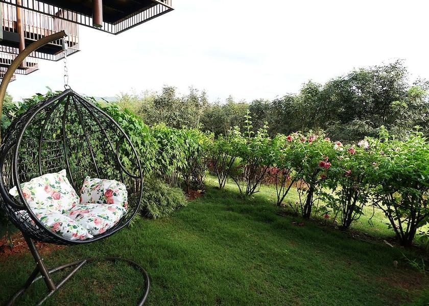 Loei Phu Ruea Garden